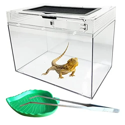 Reptile Tank Enclosure Habitat