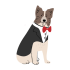 peakpetsboutique (7)